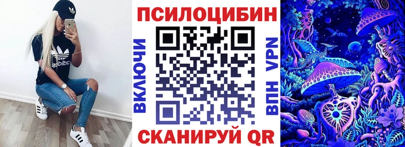 Галлюциногенные грибы Cubensis Камышлов