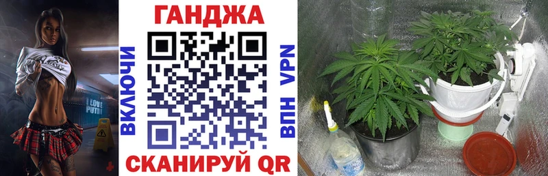 наркотики  Камышлов  Шишки марихуана White Widow 